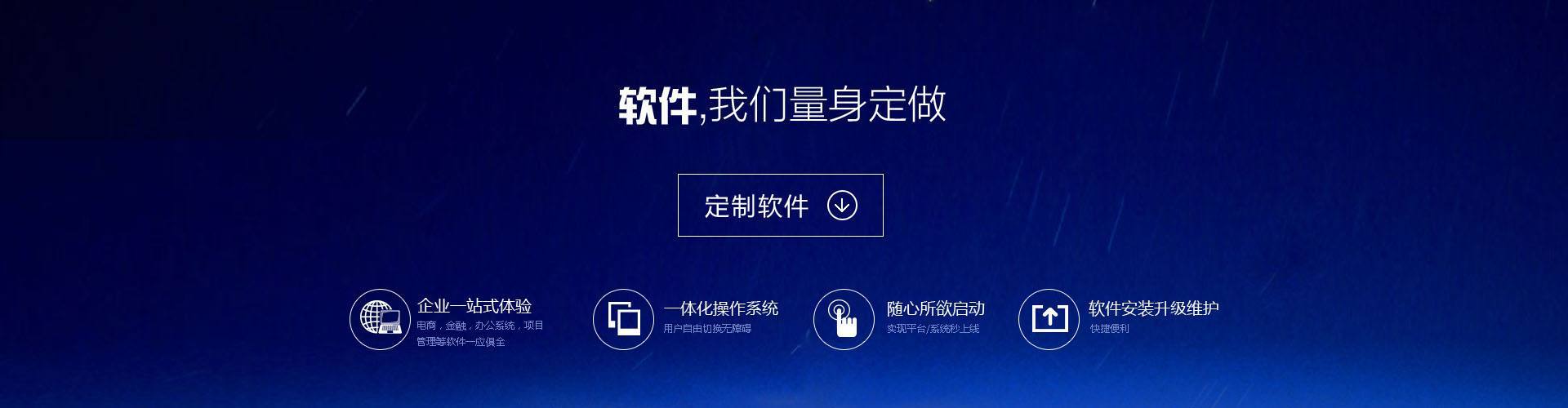 软件定制服务